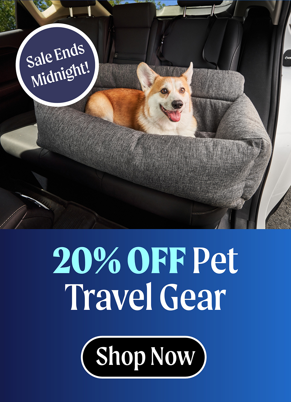 It's National Dog Day! 💙🐕 Milled