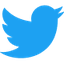 Twitter icon