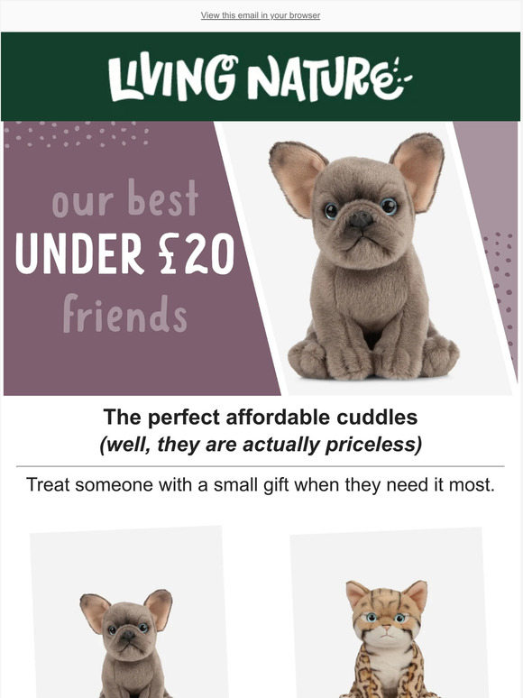 Loooking for the perfect affordable gift?