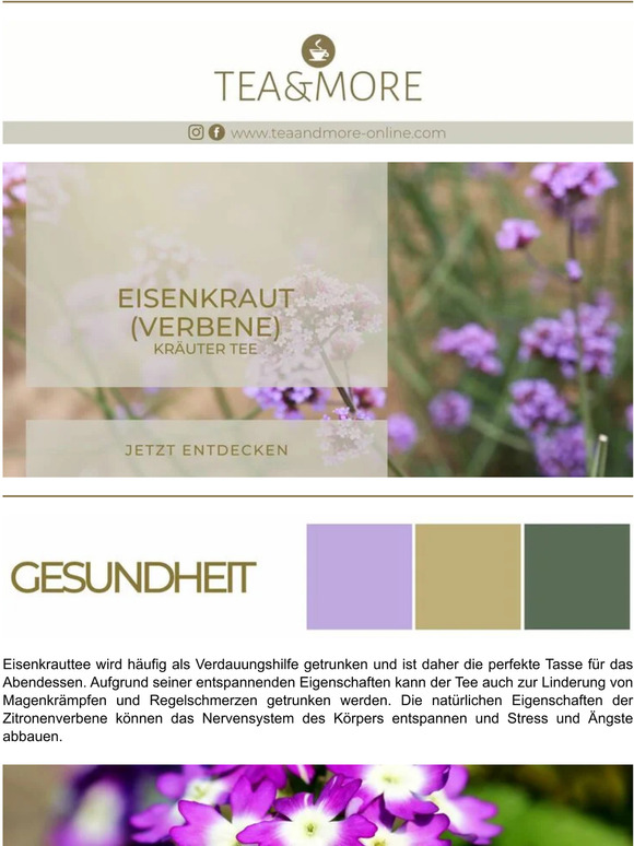 Eisenkraut Tee: Tee zum Stressabbau! 🧘