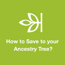 How to Save to your Ancestry Tree?