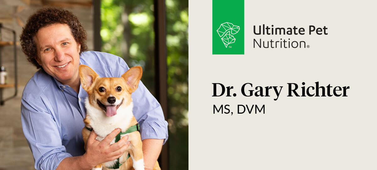 is nutra thrive good for dogs