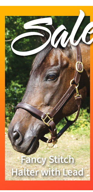 Fancy stitch leather halter sale