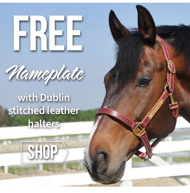 Dublin halter Free nameplate