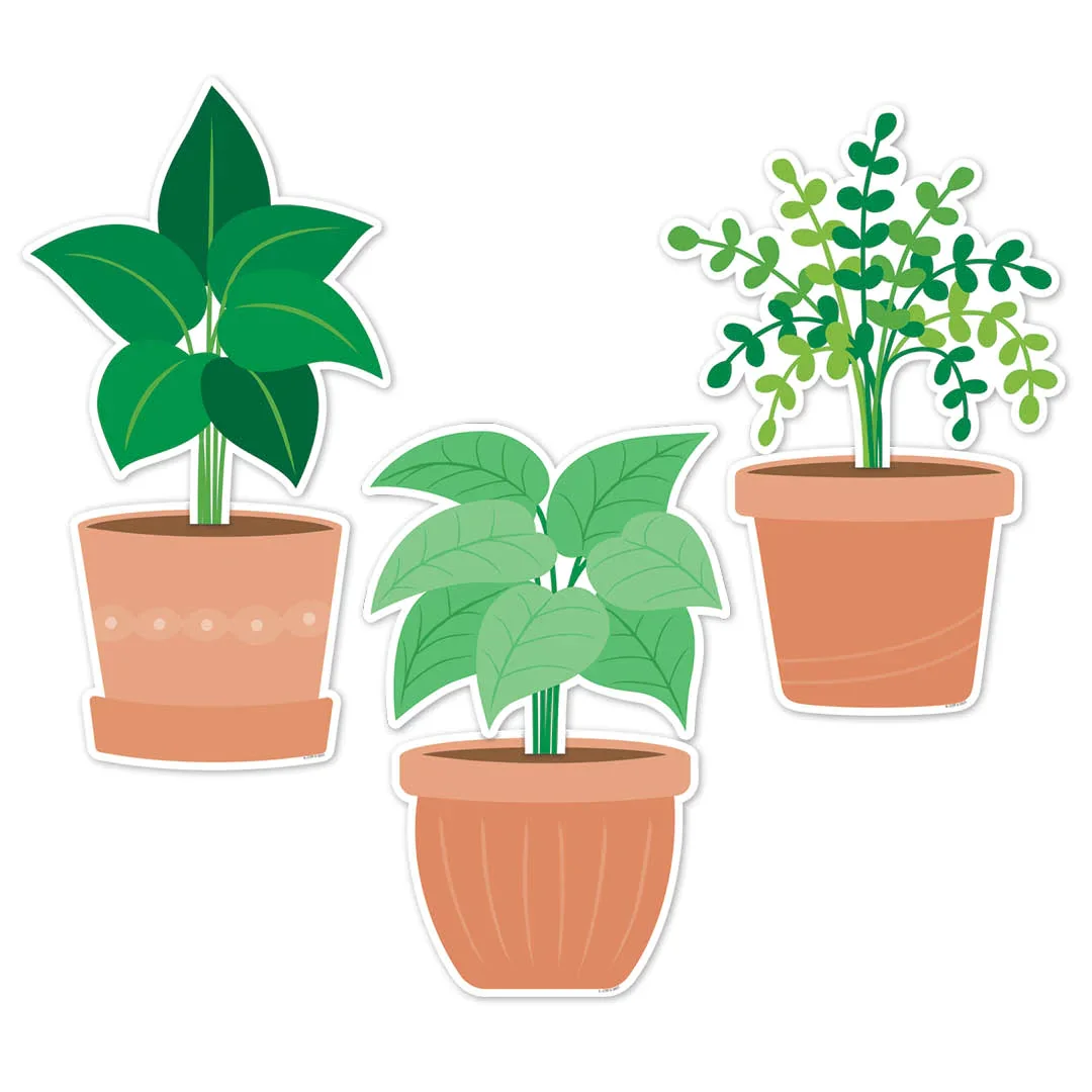 Image of Potted Plants 6