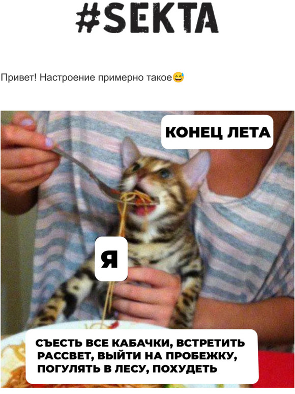 Диеты, бьюти-подушки, Evolution 👀
