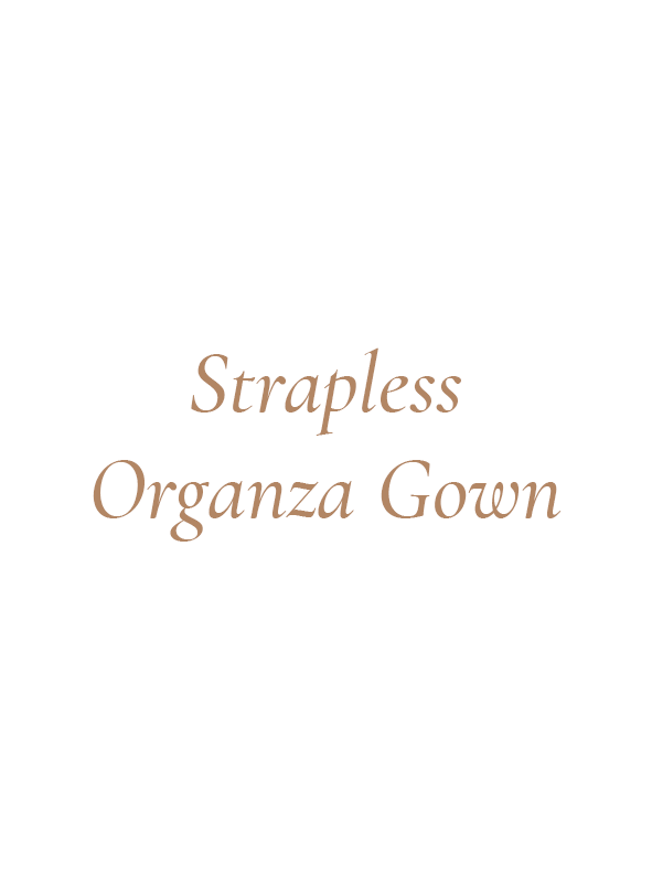 Strapless Organza Gown