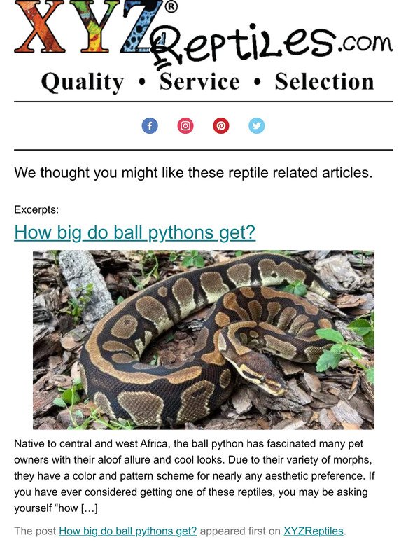 🐍🐢🐊 Articles From XYZReptiles