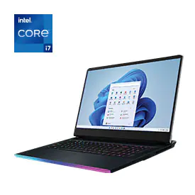 MSI GE76 Raider 17.3-inch 144Hz Gaming Laptop
