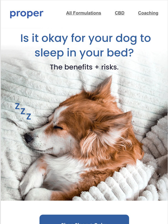 getproper Should you let your dog sleep in your bed? Milled