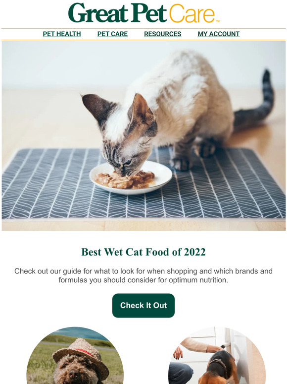 Great Pet Care Best Wet Cat Food of 2022 🏆 Milled