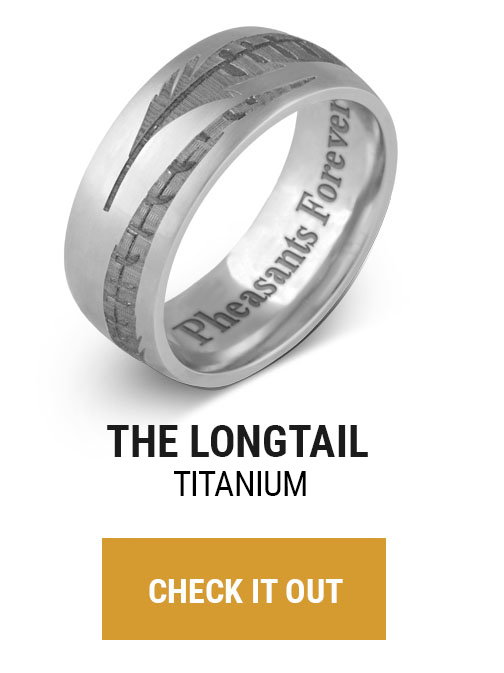 THE LONGTAIL