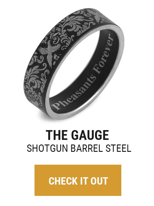 THE GAUGE