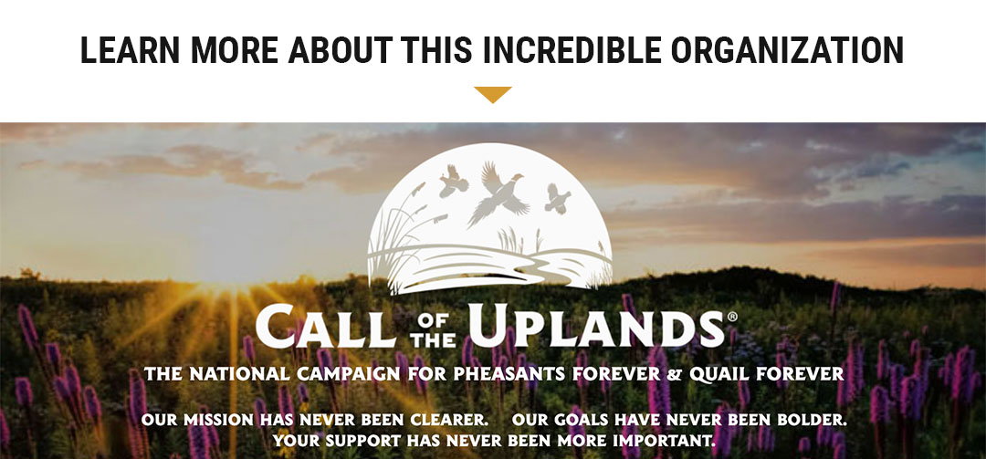 LEARN MORE ABOUT THIS INCREDIBLE ORGANIZATION