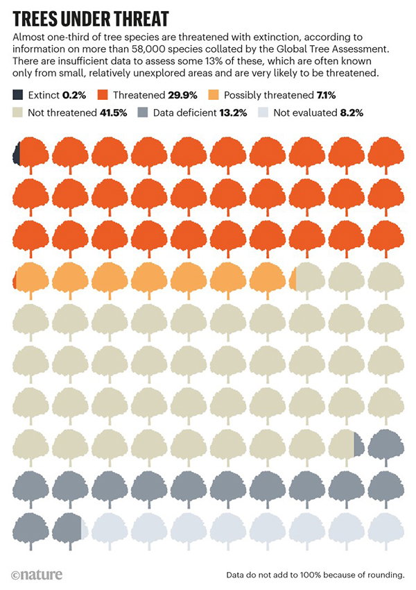 TREES UNDER THREAT: graphic showing the percentage of tree species from extinct to unthreatened