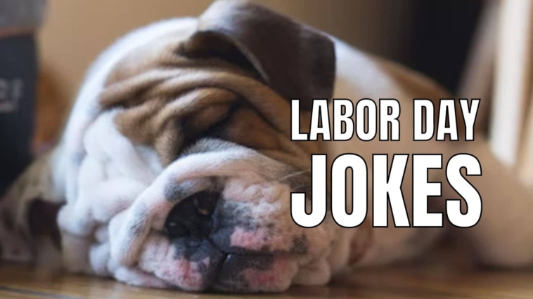 HumorNama: The Humor Blog: Labor Day Jokes and Puns | Milled