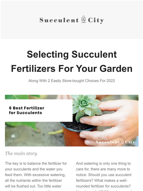 Selecting Succulent Fertilizers For Your Garden