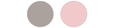 Color Palette
