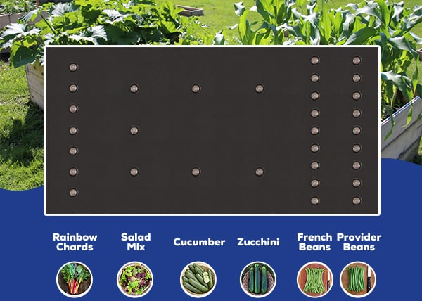 Seedsheet: Have you seen these 3 NEW Raised Bed Gardens yet?! | Milled