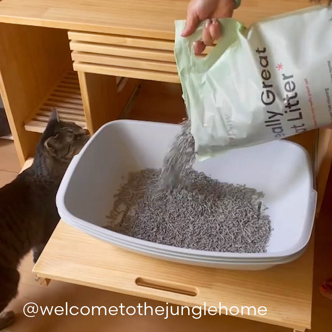 Really Great Cat Litter being poured into a litter box, while a cat is supervising nearby.