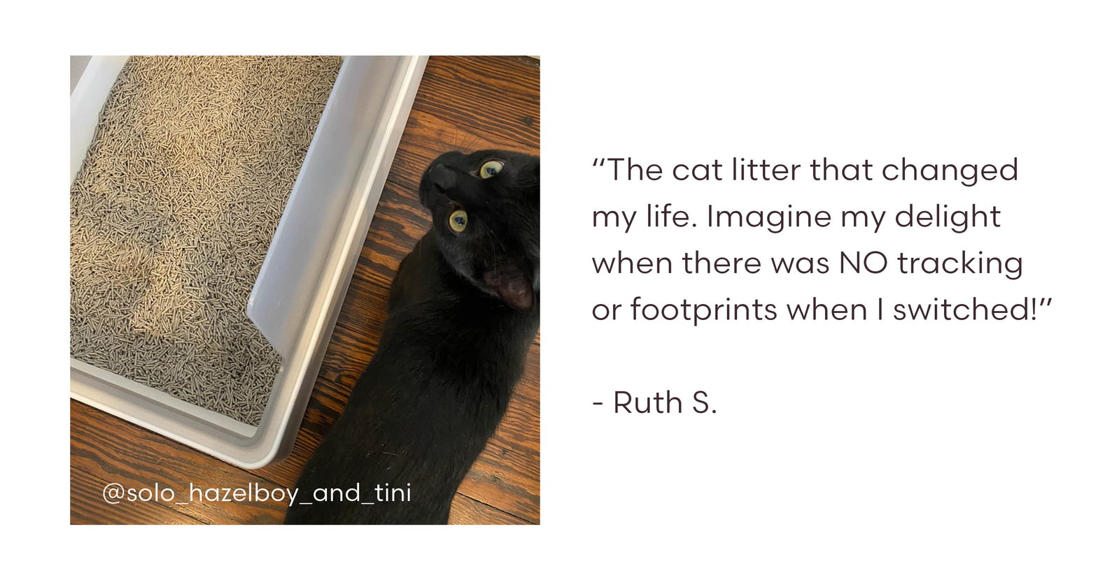 “The cat litter that changed my life. Imagine my delight when there was NO tracking or footprints when I switched!”  - Ruth S.