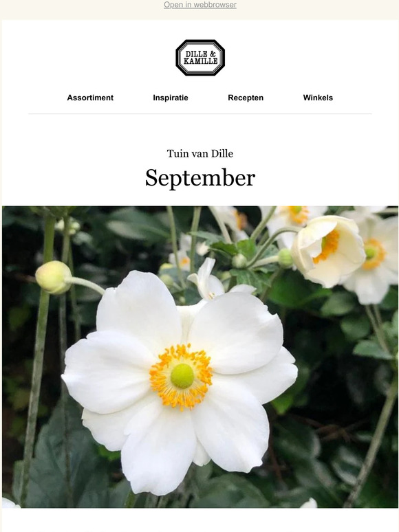 Geniet van de nazomer - tuintips voor september