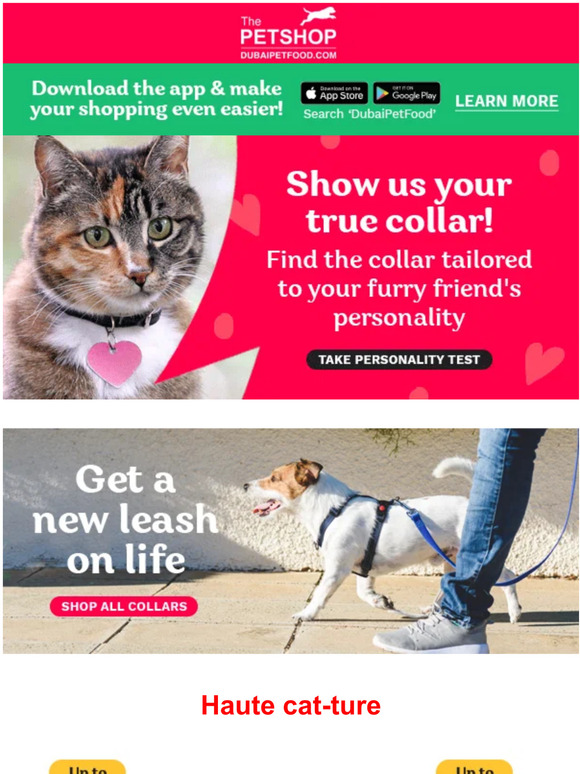 Dubai Pet Food UAE How vibrant is your furry friend feeling today