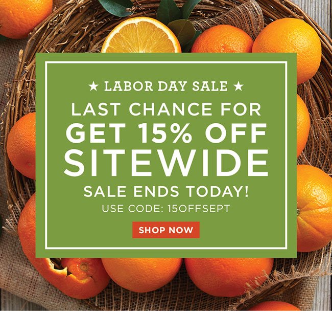 15% Off SiteWide - Labor Day Sale