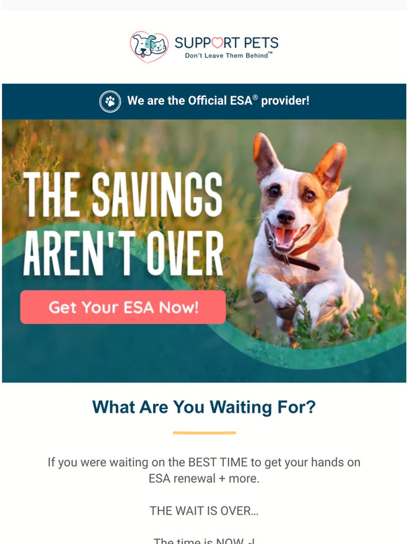 Support Pets 👋 Here’s Your Last Chance! Milled