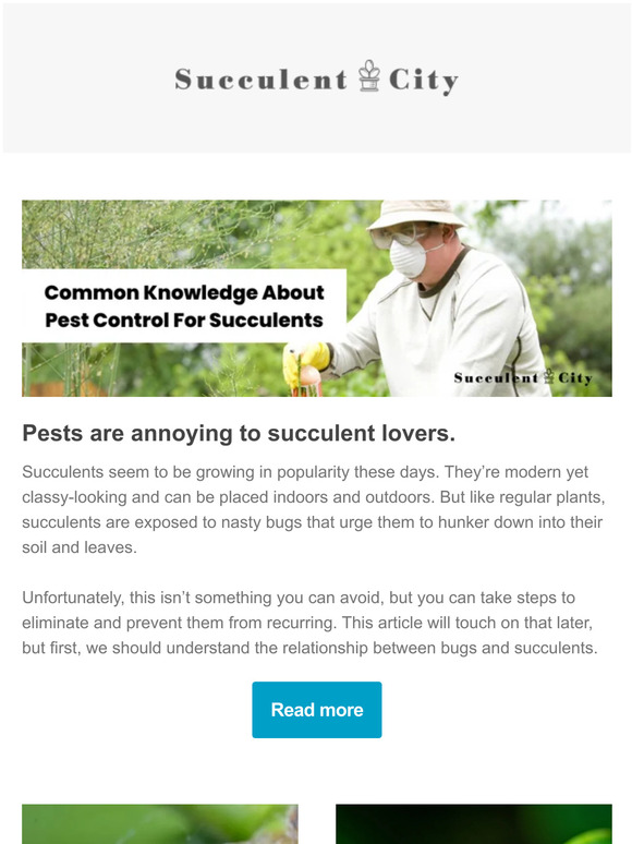 Common Knowledge About Pest Control For Succulents