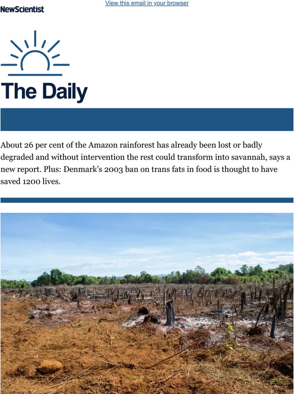 New Scientist: The Amazon Rainforest Has Reached A Crucial Tipping ...