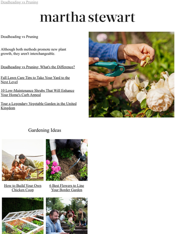 Better Homes and Gardens Deadheading vs Pruning What's the Difference? Milled