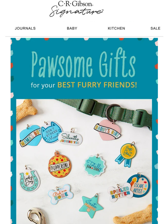 These Items are Pawsitively Purrfect!