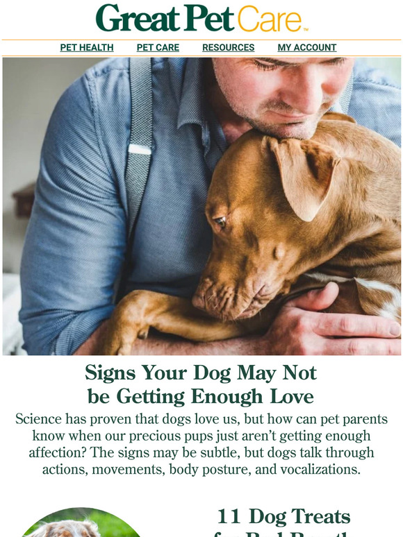 great-pet-care-signs-your-dog-may-not-be-getting-enough-love-milled