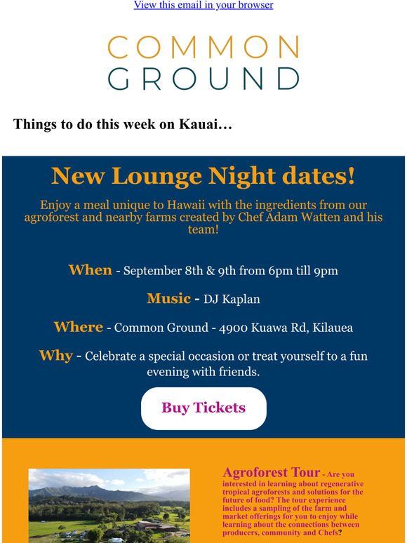 Lounge Nights with DJ Kaplan on Thursday and Friday