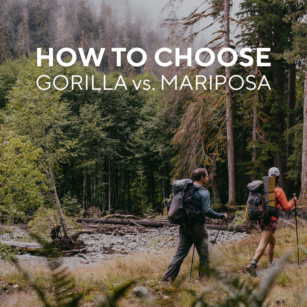 How to choose: mariposa vs gorilla