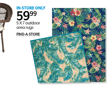 In-store only 59.99 5 X 7 outdoor area rugs
