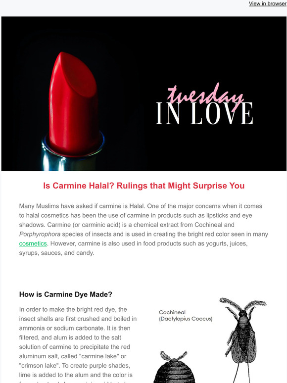 Tuesday in Love: 💄Is Carmine Halal? 😕 Islamic Rulings You Need to Know