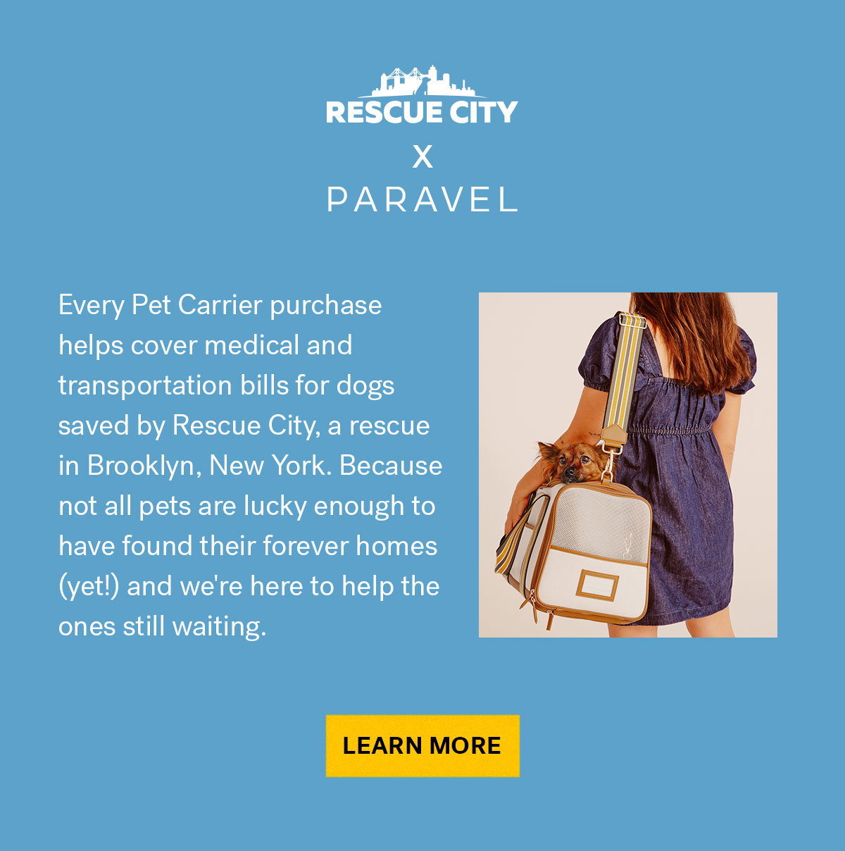 Paravel x Rescue City