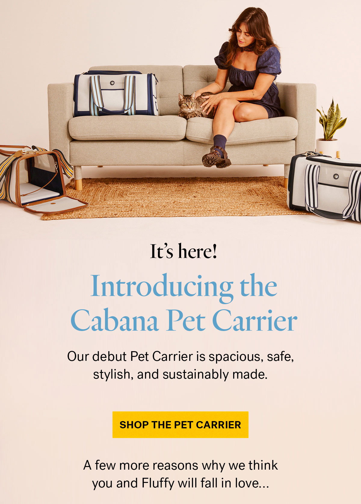 Cabana Pet Carrier