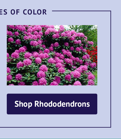 brighter blooms nursery An Easy Way to Add Life to Your Landscape Milled