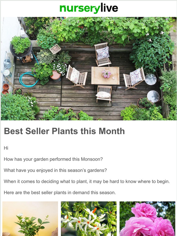 Nurserylive ☘️ 👨‍🌾 Best Selling Plants this Sept & U have 1000 ncash