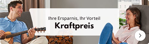 Kraftpreis