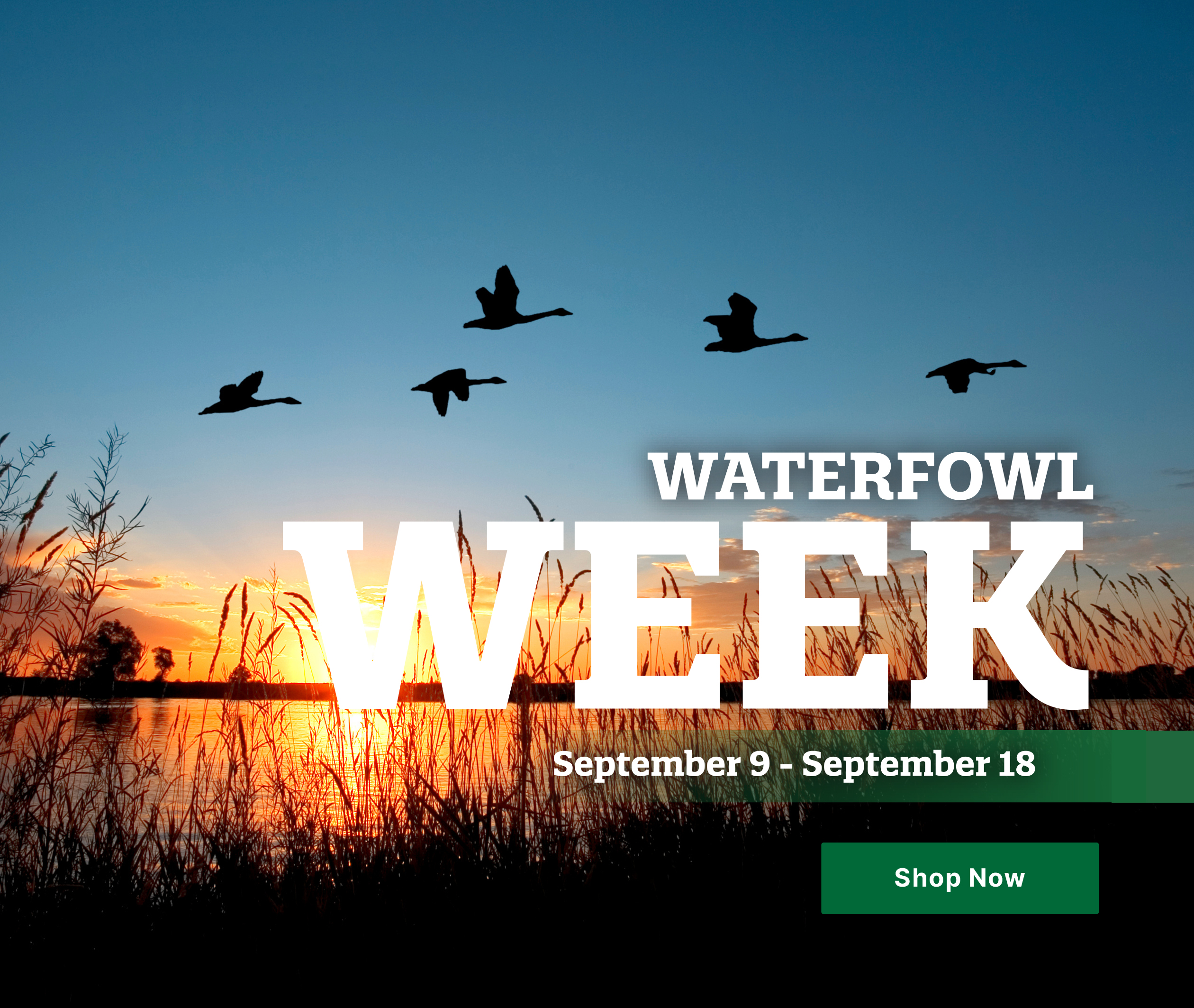 Sportsman's Warehouse Waterfowl Season Is Approaching Milled