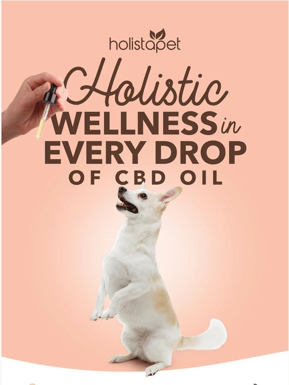 The best CBD Oil for pets 🐶🐱