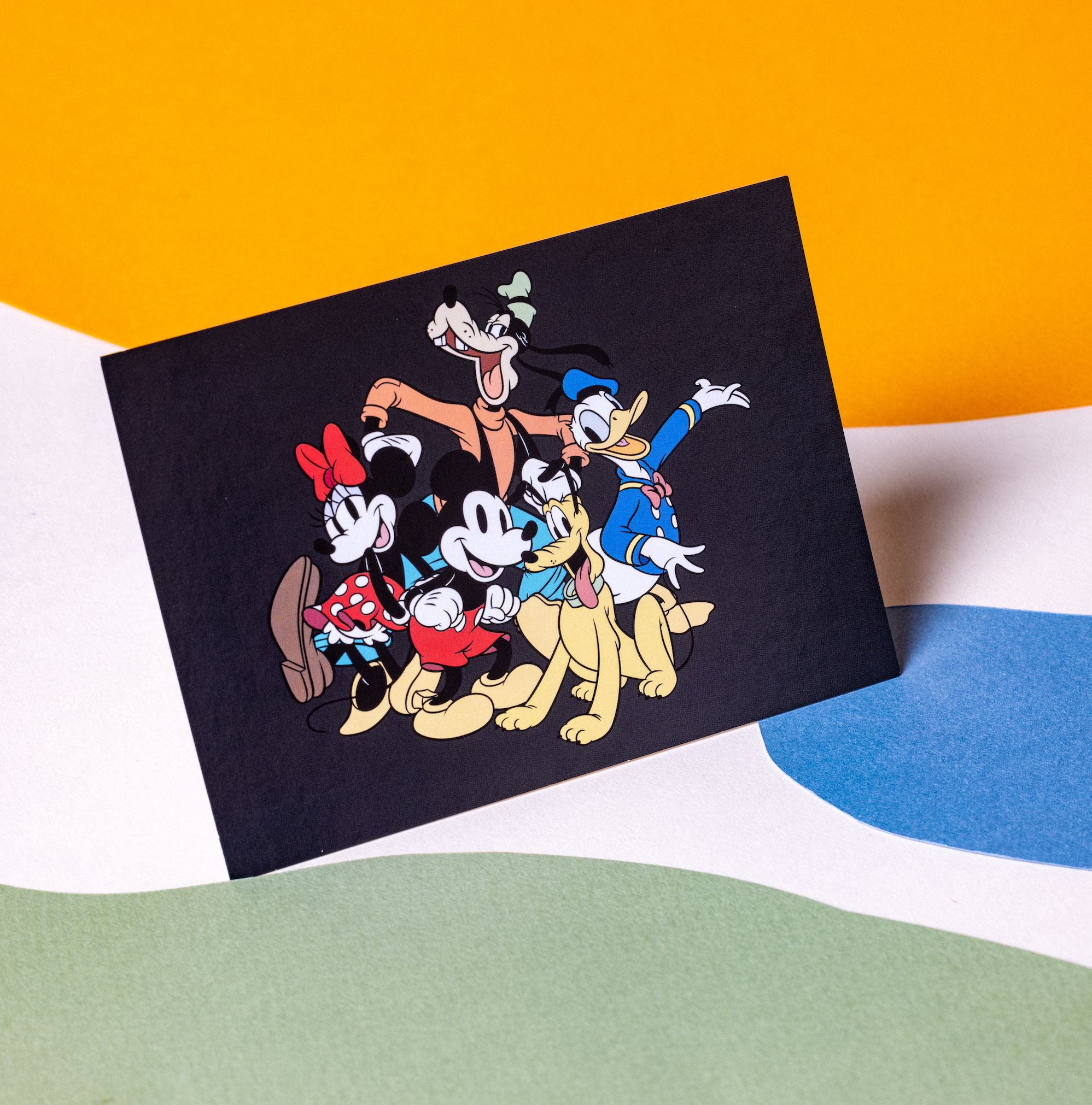 Roseshire Disney's Fab 5, Mini Rose Set! Milled