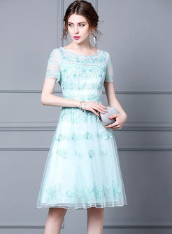 Crew Neck Mesh Embroidered Party Dress