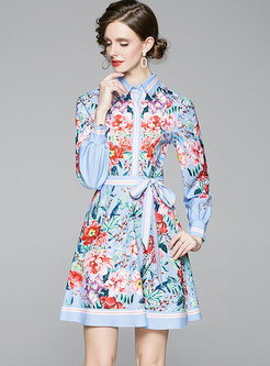 Blue Lapel Print Long Sleeve Skater Dress