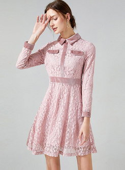Long Sleeve Lace Openwork Skater Mini Dress