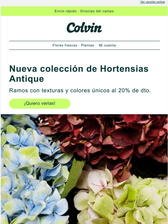 Colvin: -15% en flores y plantas para cada ocasin | Milled